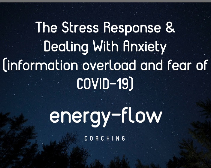 The Stress Response & Dealing With Anxiety (information overload and ...